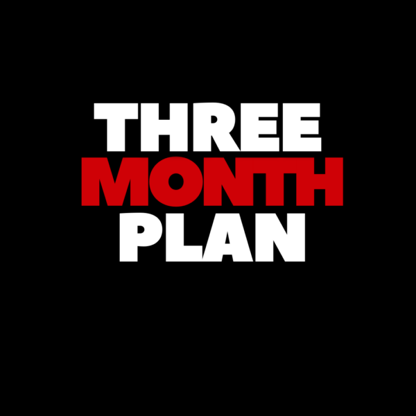 A CUSTOM PLAN + 3 MONTHS OF COACHING